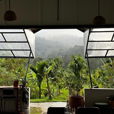 Bendheka - Cliff Front Cottages Coorg Gonikoppal Eksteriør billede